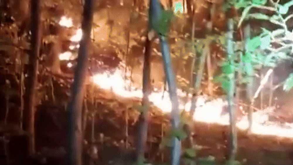 Imagini de coșmar. Valea Oltului, în flăcări. „Așa arată Apocalipsa, nu mai rămâne nimic până dimineață”. Peste 100 de pompieri, pădurari şi voluntari intervin