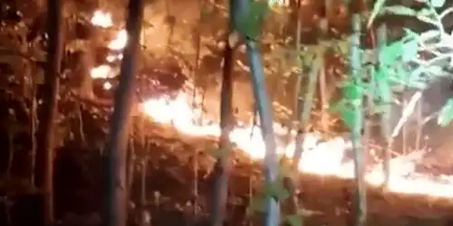 valea oltului gif