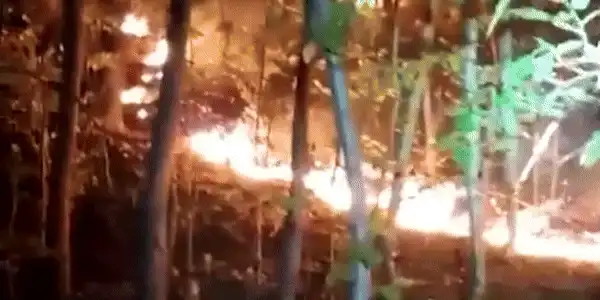 valea oltului gif