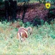 AQPcD1jtakvLGLOBpe5vOS9P6vdc lqQiDy7PL4qg3O0Q9MSaP0KVXoV9cl8gmF2DjaC9QWWFp3F u7llNMhUjC5yHI P53zeisxx7E5zG93cQ mp4 thumbnail png