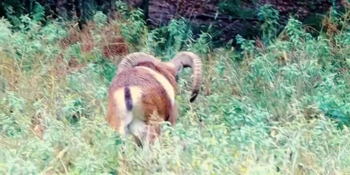 AQPcD1jtakvLGLOBpe5vOS9P6vdc lqQiDy7PL4qg3O0Q9MSaP0KVXoV9cl8gmF2DjaC9QWWFp3F u7llNMhUjC5yHI P53zeisxx7E5zG93cQ mp4 thumbnail png