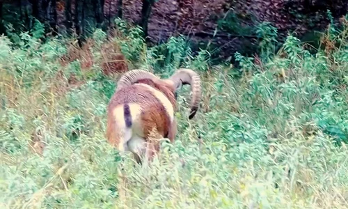 AQPcD1jtakvLGLOBpe5vOS9P6vdc lqQiDy7PL4qg3O0Q9MSaP0KVXoV9cl8gmF2DjaC9QWWFp3F u7llNMhUjC5yHI P53zeisxx7E5zG93cQ mp4 thumbnail png