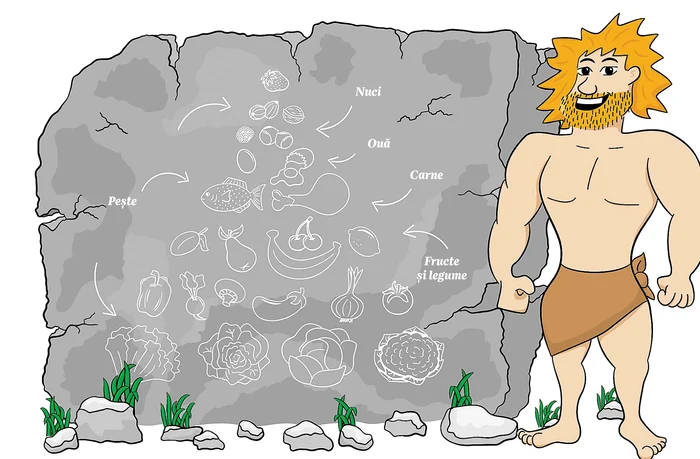 
    Cercetătorii americani ne sfătuiesc să mâncăm ca în paleolitic ca să trăim mai mult   