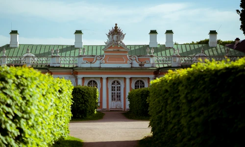 Arbuști modelați jpg