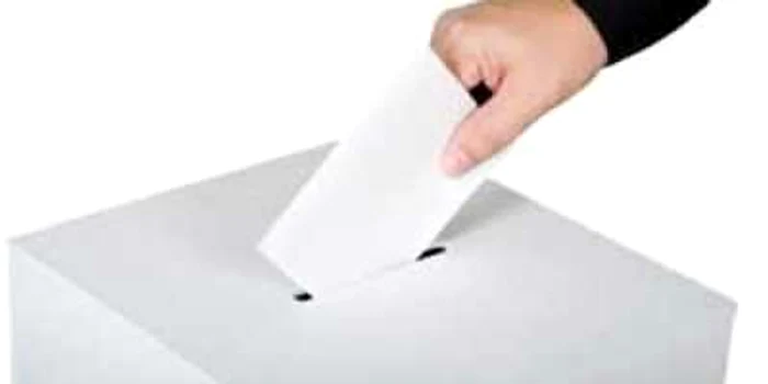 La Pişcolt, un membru de secţie a votat şi în numele soţiei sale