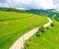 transalpina apuseni alba