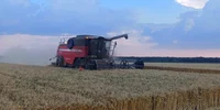 recoltare grau dolj foto FB DAJ Dolj jfif