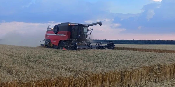 recoltare grau dolj   foto FB DAJ Dolj jfif