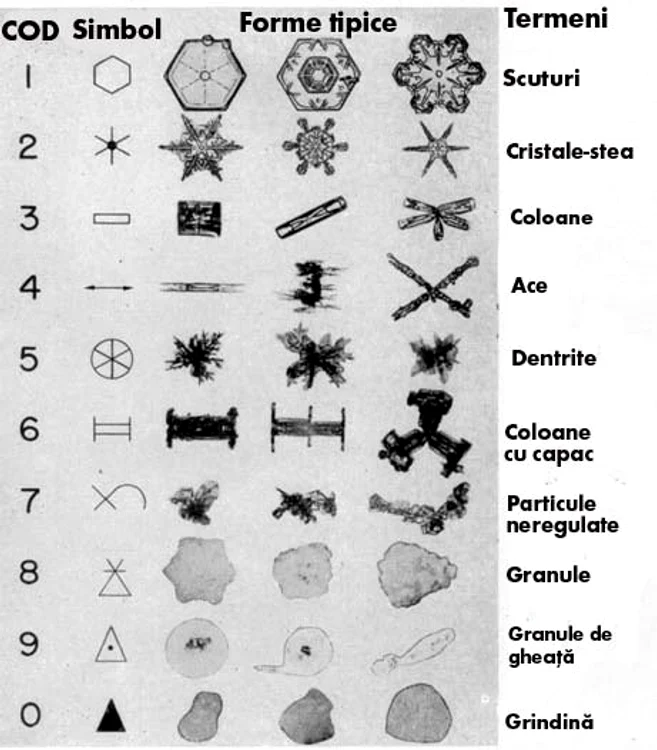 Cele zece clasificări ale formelor de fulgi de zăpadă