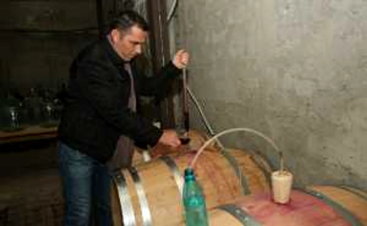 În laboratoarele de la Agronomie cercetătorii ieşeni caută secretul vinului perfect
