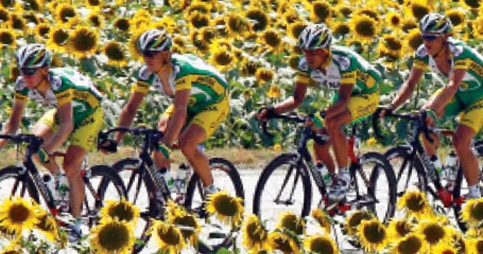 Sudul Franţei, un paradis pentru cicliştii care se iau la întrecere, străbătând lanuri de floarea-soarelui