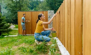 gard gradina curter vecini jpg