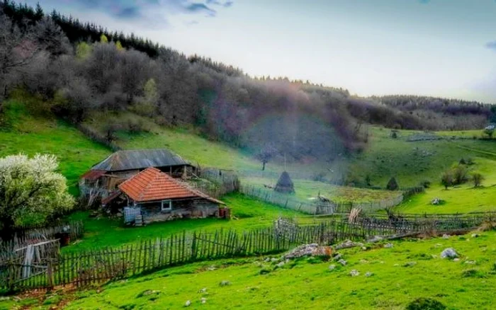 fundatura ponorului foto remus suciu