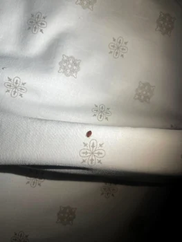 Gândaci, cazare Bulgaria / Foto: Facebook