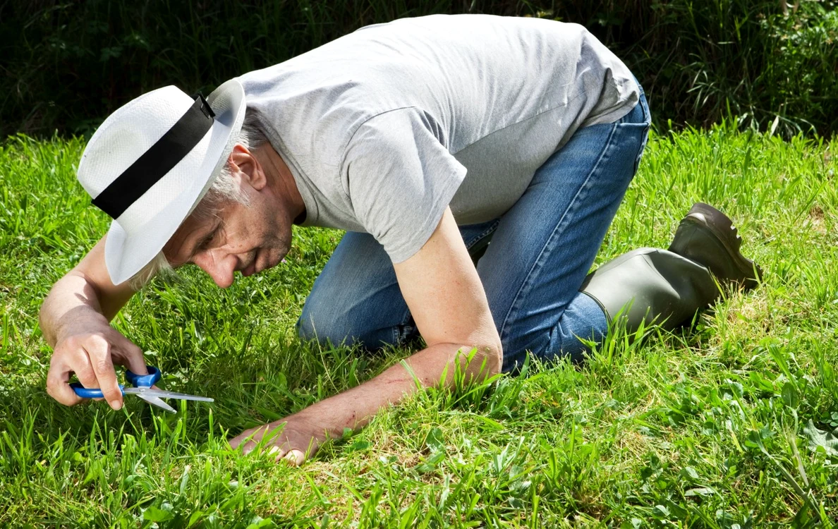 Bărbaţii de astăzi preferă mai degrabă activităţi uşoare şi evită acţiunea FOTO Shutterstock