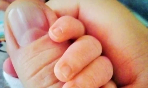 530430 10151264108887435 1882275195 n jpeg