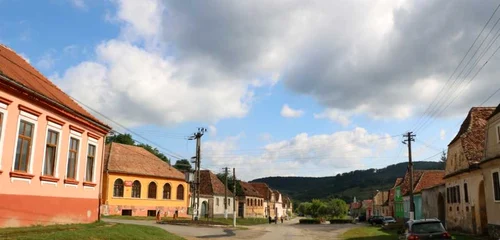 cricală de ceapă