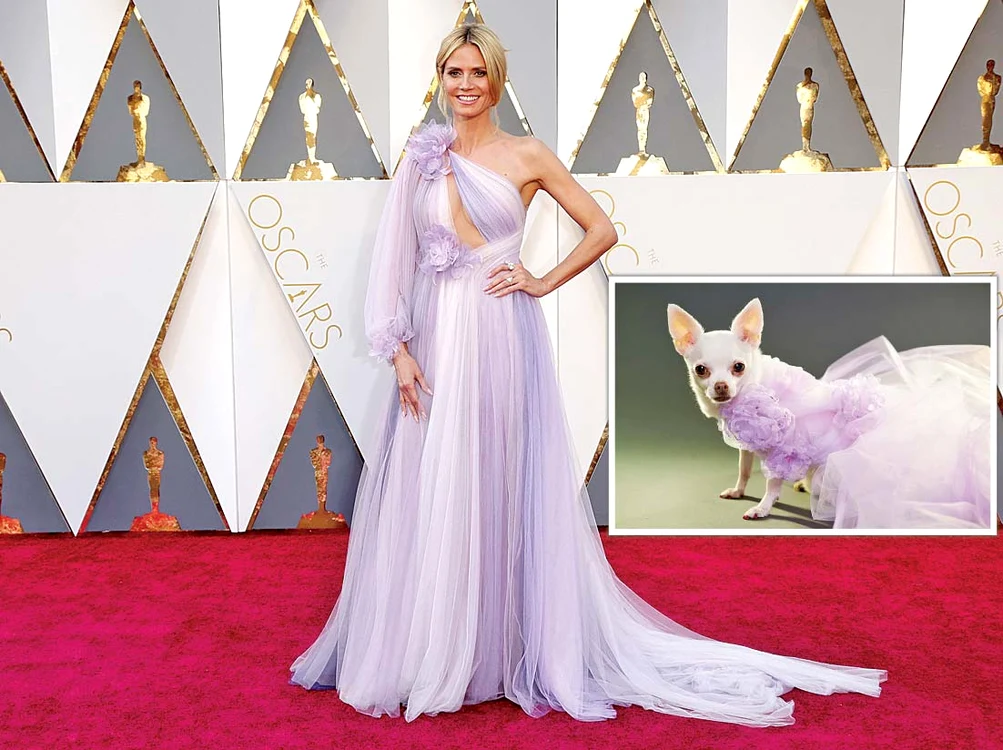 Heidi Klum (46 de ani) în rochie Marchesa. Rochia de voal mov seamănă bine cu cea purtată de Heidi Klum