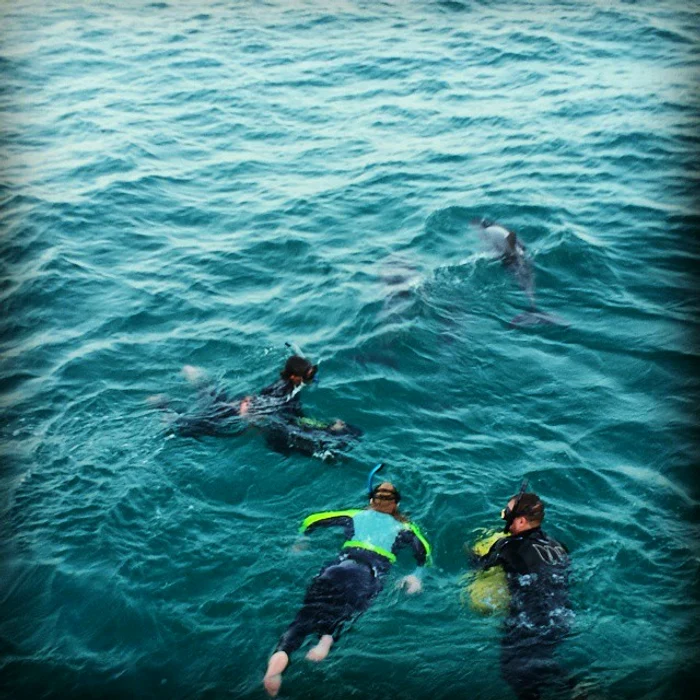 1517920 10152820695267766 1332215172644939842 n jpeg