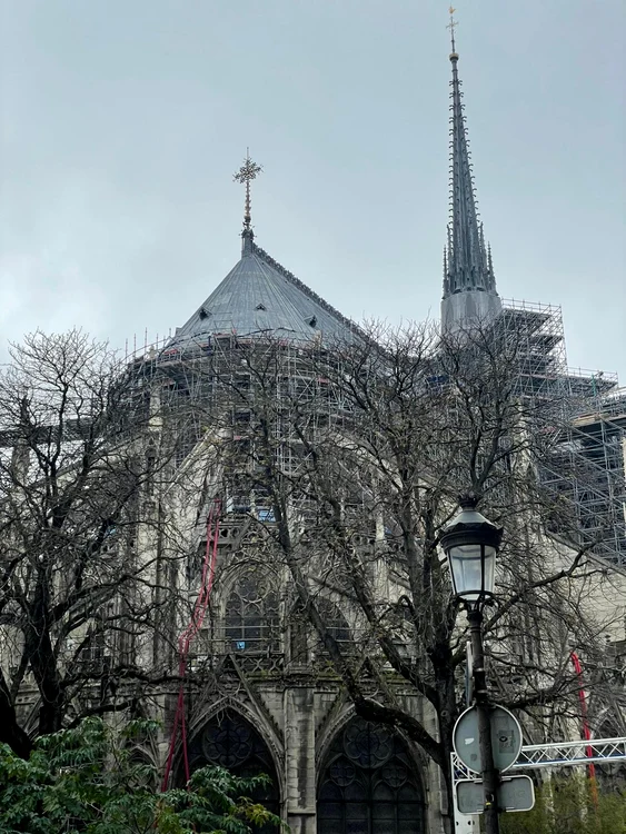 notre dame2 jpg
