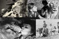 familia berberov colaj captura video jpg