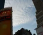 P1130087 JPG