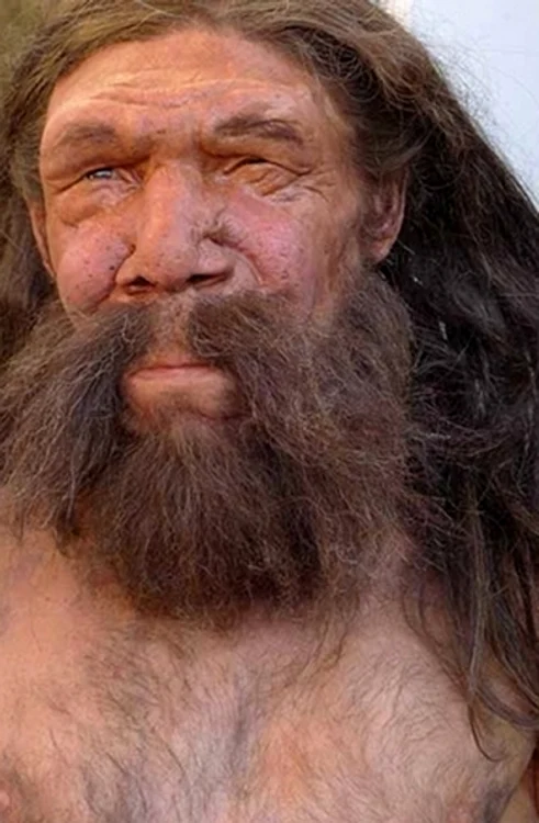 neandertal 1 jpg jpeg