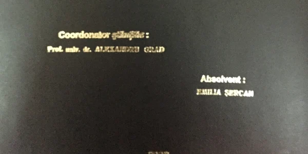 suspiciuni plagiat Emilia Sercan Foto turnulsfatului.ro
