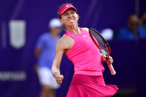 simona halep monica niculescu FOTO Mediafax