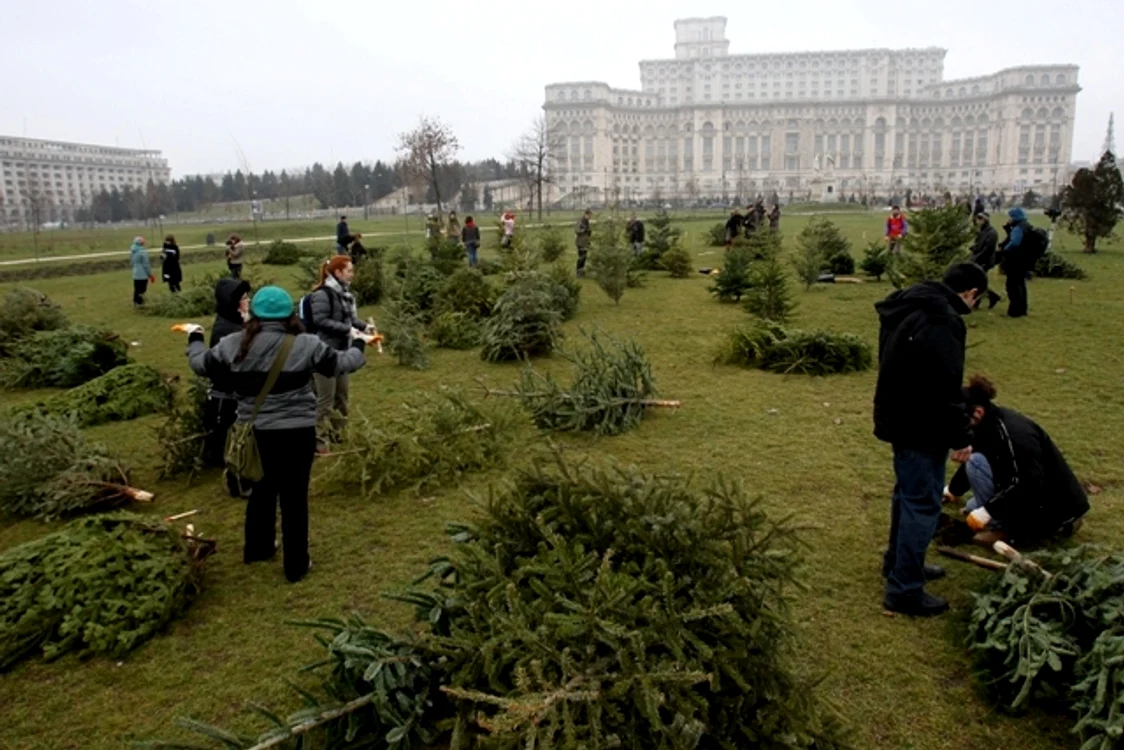 Brazi în parcul Izvor
