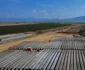 Mobilizare pe Autostrada Unirii A8 Foto: Horațiu Cosma/FB