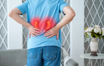 shutterstock 2524171525 jpg
