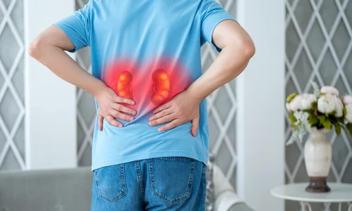 shutterstock 2524171525 jpg