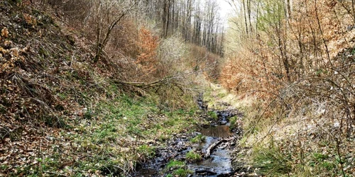 manastirea plosca si valea plostii foto daniel guta adevarul