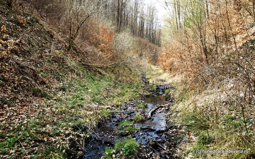 manastirea plosca si valea plostii foto daniel guta adevarul