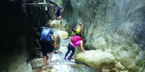 Minunile Rezervaţiei Cheile Şugagului Munticelu FOTO Florin Jbanca