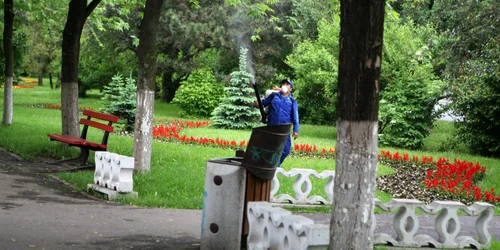 Suspectul a fost prins în Parcul Titulescu Foto: arhivă