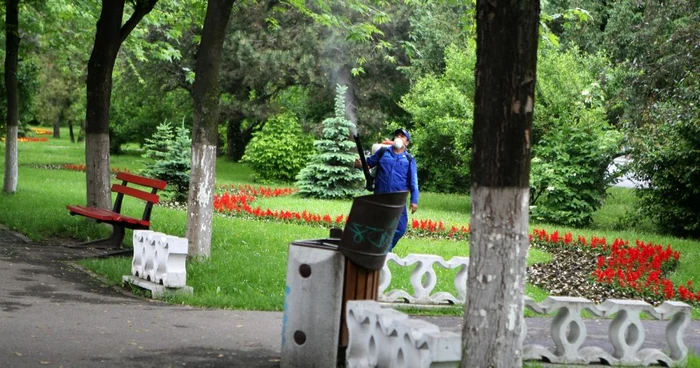 Suspectul a fost prins în Parcul Titulescu Foto: arhivă