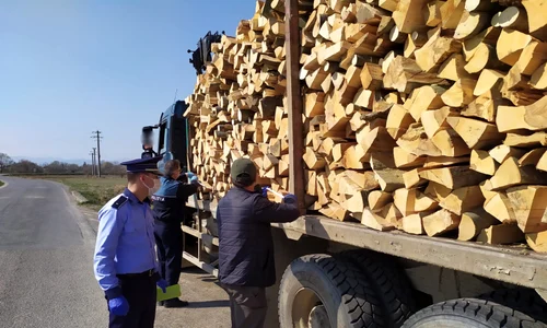 politisti care i opersc camioanele ce transporta lemn jpeg