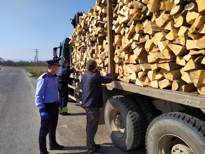 Transporturile de lemn sunt verificate în trafic de către polițiști