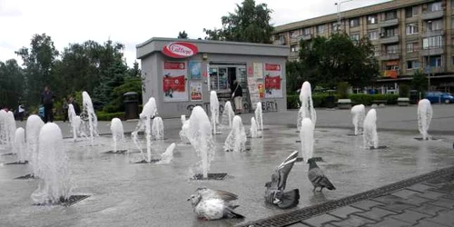 chiosc calliope ploiesti