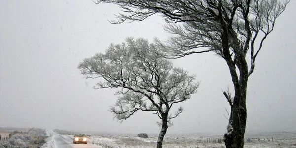 Meteorologii anunță cod galben  de vânt puternic în 35 de județe ale țării jpeg