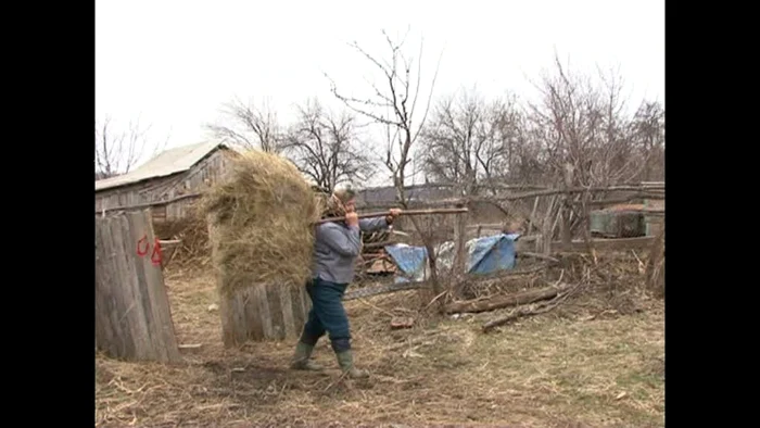 Fermierii vor să renunţe la aninale FOTO Corina Macavei