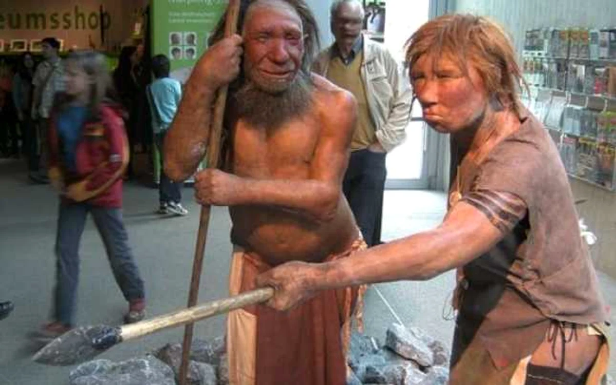 neanderthal
