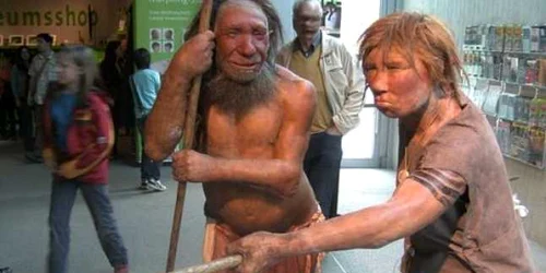 neanderthal