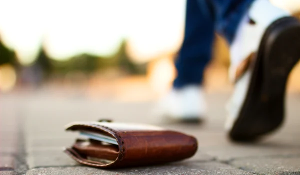 portofel, foto shutterstock jpg