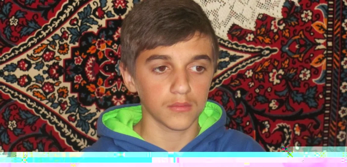 gemeni agnita1