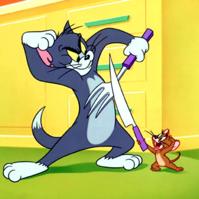 Tom si Jerry