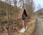 Satul Bărăștii Iliei Foto Daniel Guță ADEVĂRUL (10) jpg