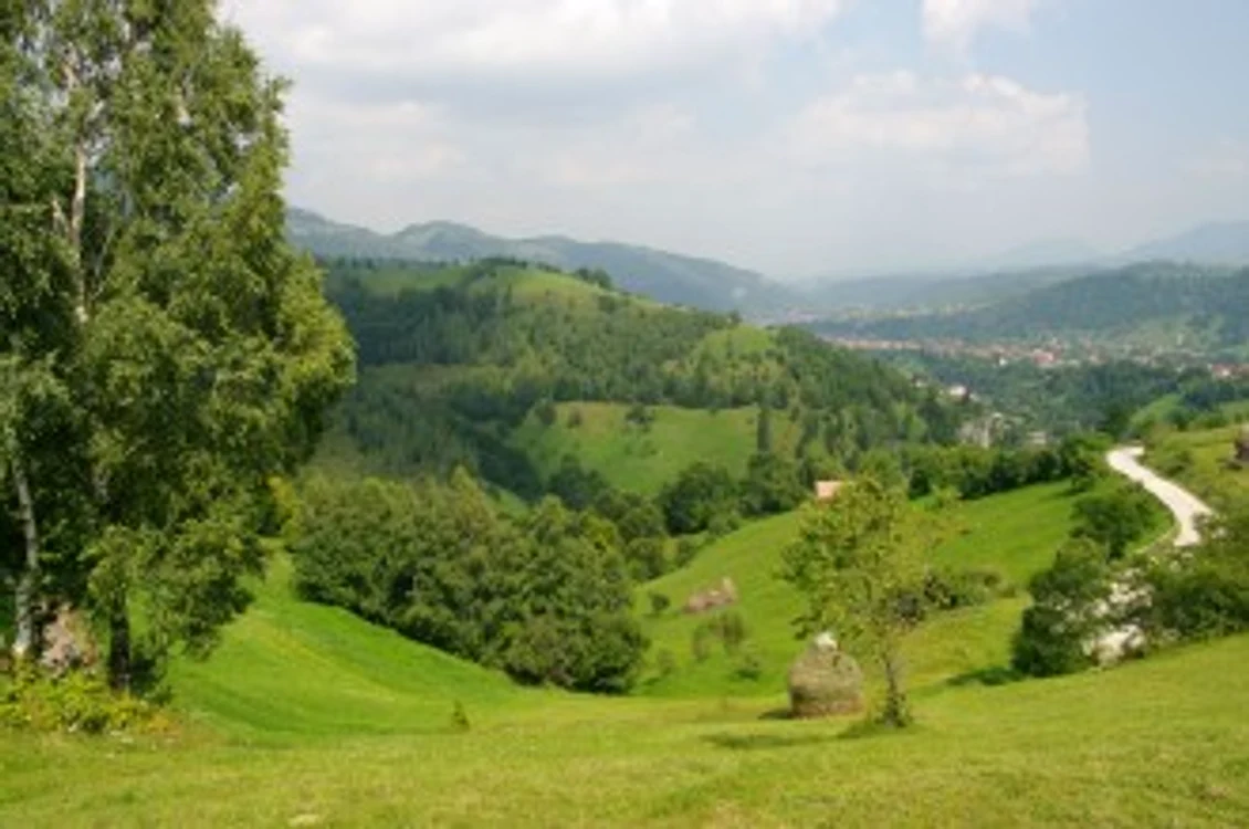
    Măgura, sătucul dintre văi  